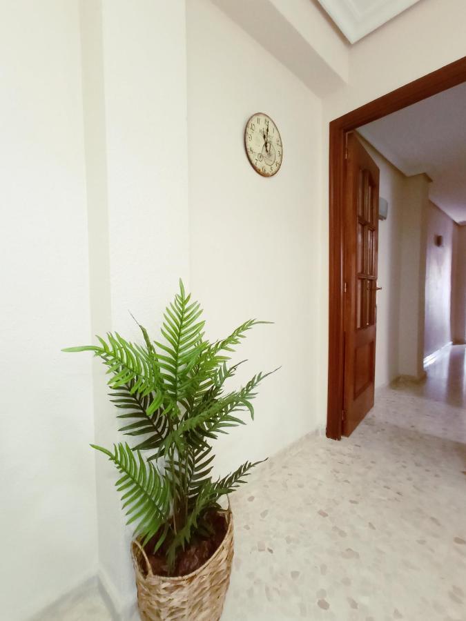 Apartamento La Vinuela قرطبة المظهر الخارجي الصورة